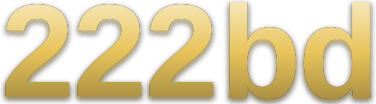 222 bd logo